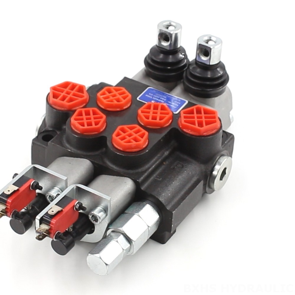 Hydraulic Directional Valve P40: Customizable Options & Wholesale Availability Manual 2 Spool Monoblock Directional Valve image